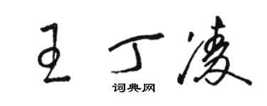 駱恆光王丁凌草書個性簽名怎么寫