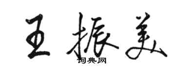 駱恆光王振美行書個性簽名怎么寫