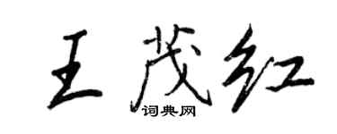 王正良王茂紅行書個性簽名怎么寫