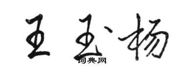 駱恆光王玉楊行書個性簽名怎么寫