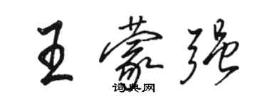 駱恆光王蒙強行書個性簽名怎么寫