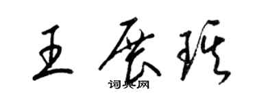 梁錦英王展琪草書個性簽名怎么寫