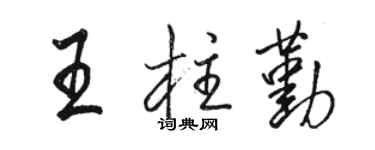 駱恆光王柱勤行書個性簽名怎么寫