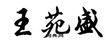 胡問遂王苑盛行書個性簽名怎么寫