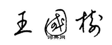 梁錦英王國樹草書個性簽名怎么寫