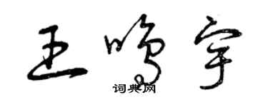 曾慶福王鳴宇草書個性簽名怎么寫