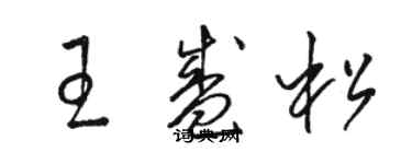 駱恆光王盛松草書個性簽名怎么寫