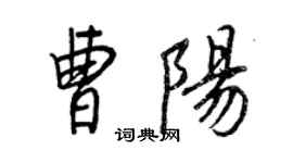 王正良曹陽行書個性簽名怎么寫