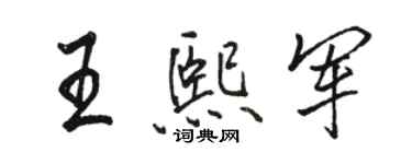 駱恆光王熙軍行書個性簽名怎么寫