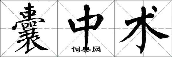 翁闓運囊中術楷書怎么寫