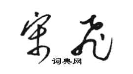 駱恆光宋飛草書個性簽名怎么寫