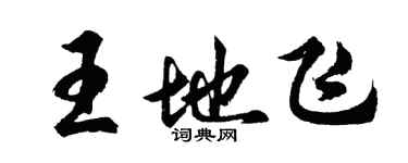 胡問遂王地飛行書個性簽名怎么寫