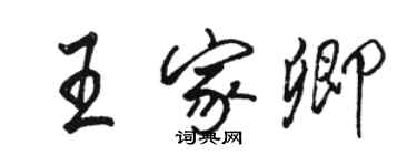 駱恆光王家卿行書個性簽名怎么寫