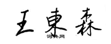 王正良王東森行書個性簽名怎么寫