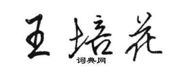 駱恆光王培花行書個性簽名怎么寫