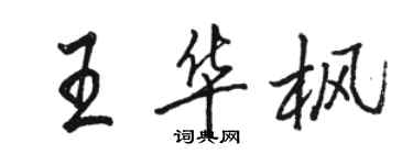 駱恆光王華楓行書個性簽名怎么寫