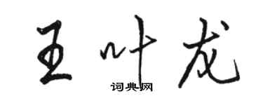 駱恆光王葉龍行書個性簽名怎么寫