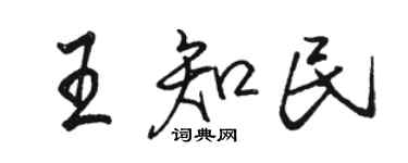 駱恆光王知民行書個性簽名怎么寫