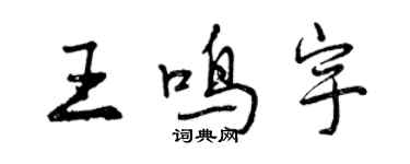 曾慶福王鳴宇行書個性簽名怎么寫