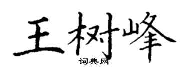 丁謙王樹峰楷書個性簽名怎么寫