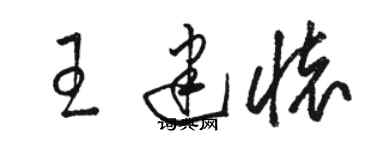 駱恆光王建懷草書個性簽名怎么寫