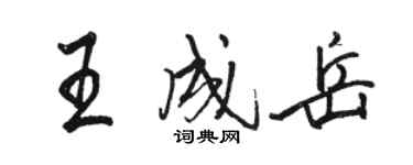 駱恆光王成岳行書個性簽名怎么寫