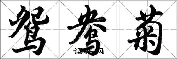 胡問遂鴛鴦菊行書怎么寫