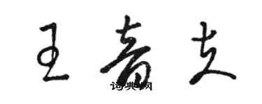 駱恆光王音夫草書個性簽名怎么寫