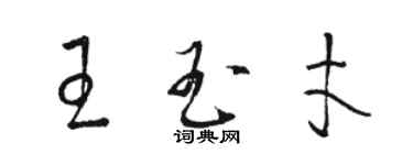 駱恆光王玉才草書個性簽名怎么寫