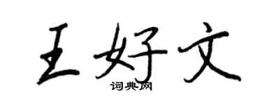 王正良王好文行書個性簽名怎么寫
