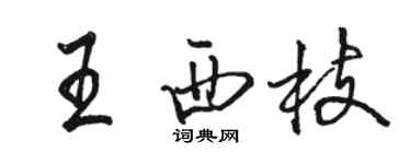 駱恆光王西枝行書個性簽名怎么寫