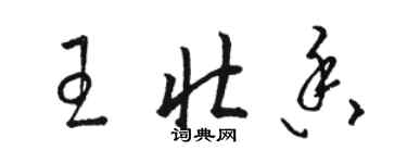 駱恆光王壯香草書個性簽名怎么寫