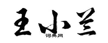 胡問遂王小蘭行書個性簽名怎么寫