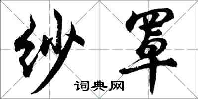 胡問遂紗罩行書怎么寫