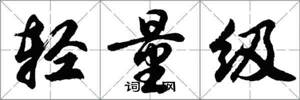 胡問遂輕量級行書怎么寫