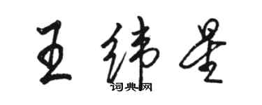 駱恆光王緯星行書個性簽名怎么寫