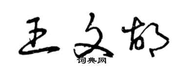 曾慶福王文胡草書個性簽名怎么寫