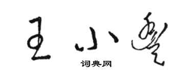 駱恆光王小豐草書個性簽名怎么寫