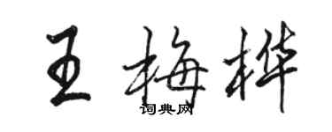 駱恆光王梅樺行書個性簽名怎么寫