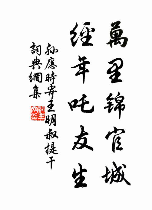 鏡中忽忽老侵尋,政坐文窮自陸沉 詩詞名句