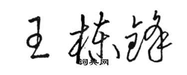 駱恆光王棟鋒草書個性簽名怎么寫