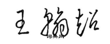 駱恆光王翰超草書個性簽名怎么寫