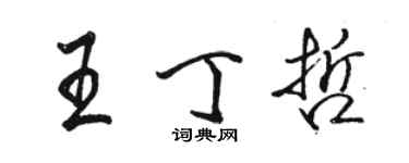 駱恆光王丁哲行書個性簽名怎么寫