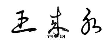 曾慶福王來水草書個性簽名怎么寫