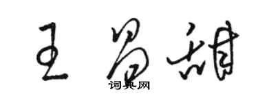 駱恆光王昌甜草書個性簽名怎么寫