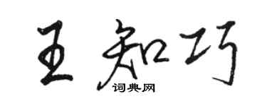 駱恆光王知巧行書個性簽名怎么寫