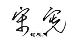 駱恆光宋憲草書個性簽名怎么寫