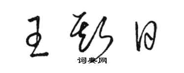 駱恆光王斯日草書個性簽名怎么寫