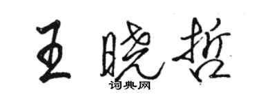 駱恆光王曉哲行書個性簽名怎么寫