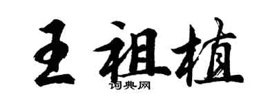 胡問遂王祖植行書個性簽名怎么寫